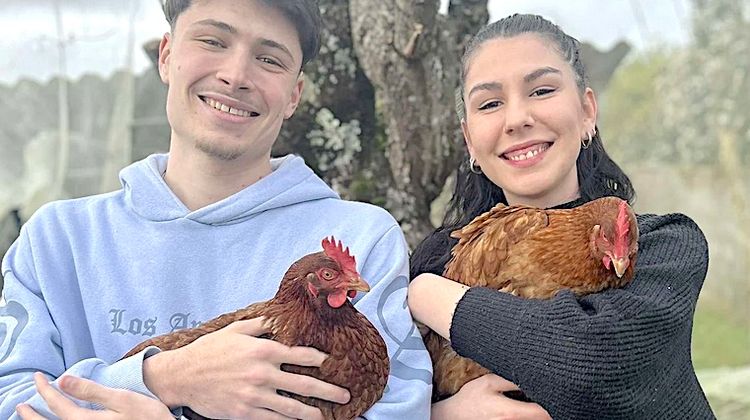 1500 COUPS DE POUCE - Des milliers de poules à adopter en Bigorre et dans le Gers